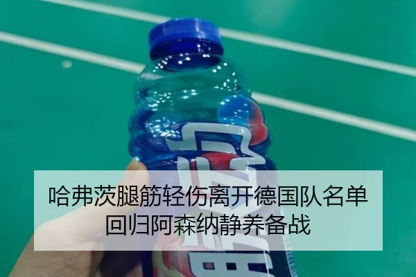 哈弗茨腿筋轻伤离开德国队名单 回归阿森纳静养备战